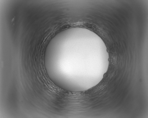 X0000081561393200701150947