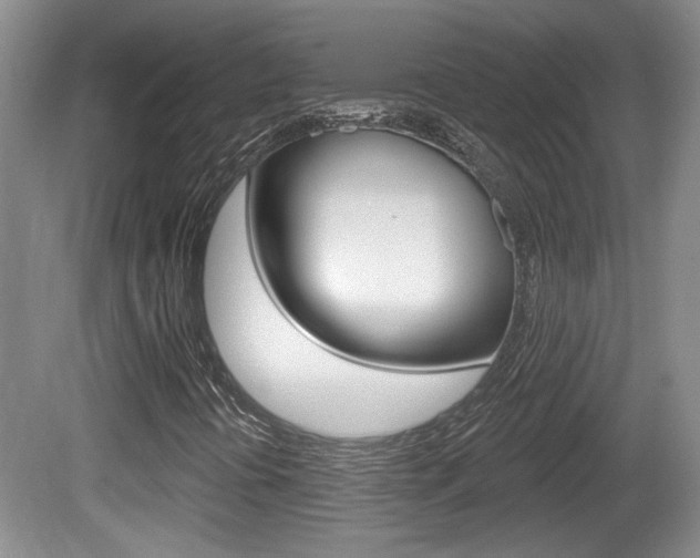 X0000081561394200701150947