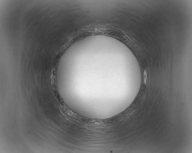 X0000081561395200701150947