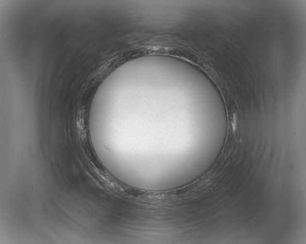 X0000081561396200701150947