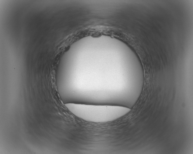 X0000081561397200701150947
