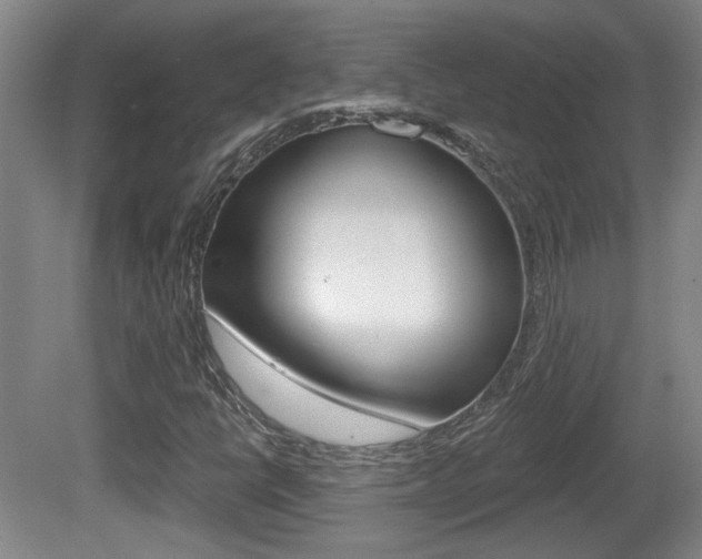 X0000081561398200701150947