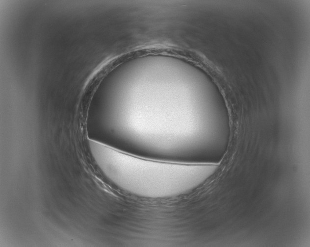 X0000081561400200701150947
