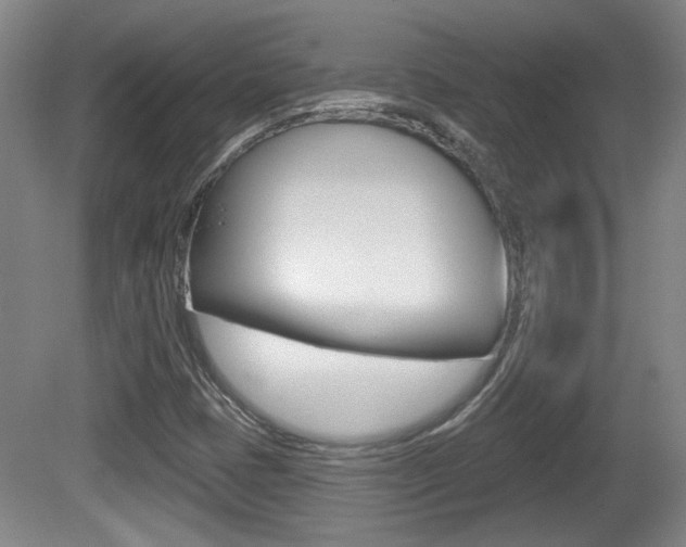 X0000081561401200701150947