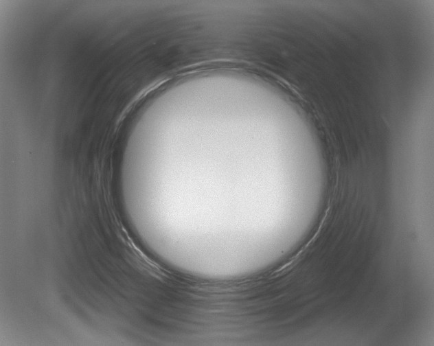 X0000081561402200701150947