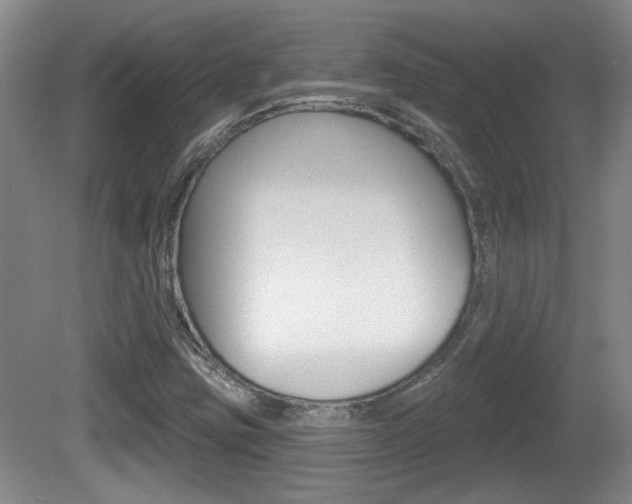 X0000081561403200701150947