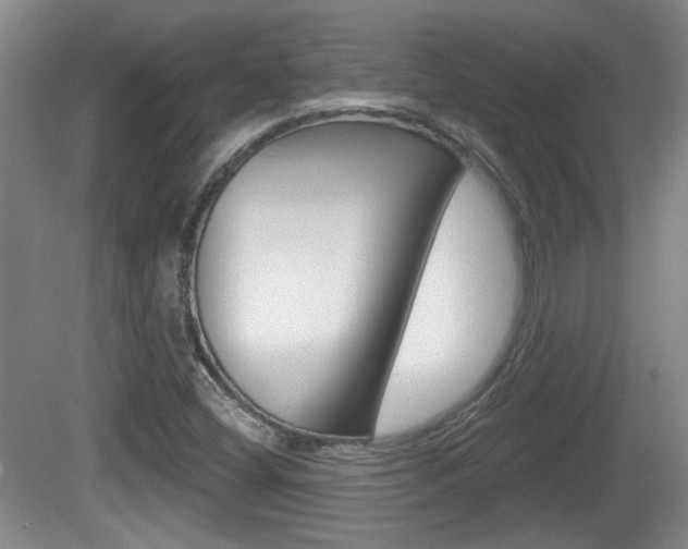X0000081561404200701150947