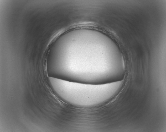 X0000081561405200701150947