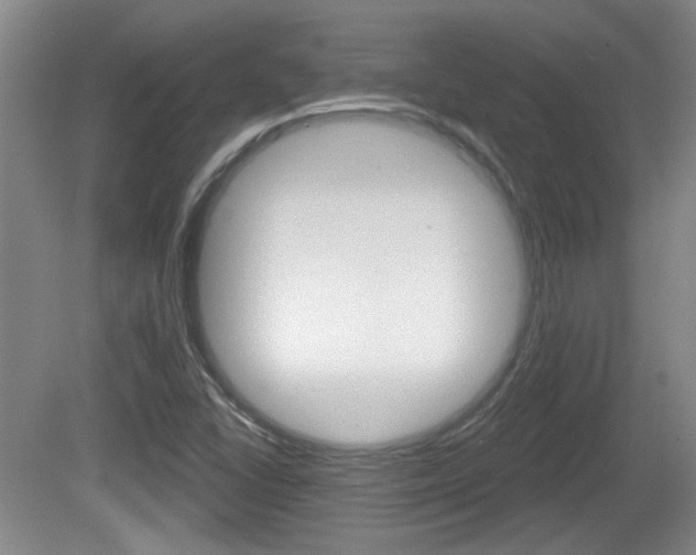 X0000081561406200701150947