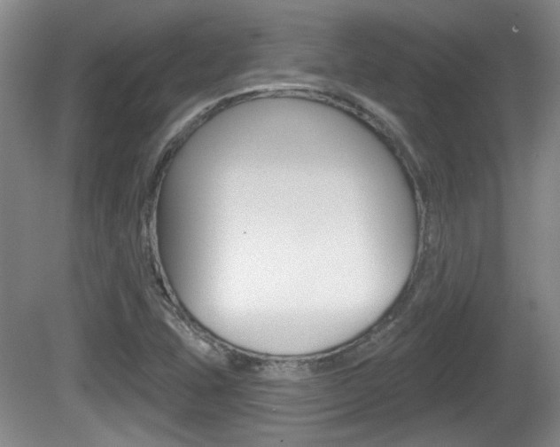 X0000081561407200701150947
