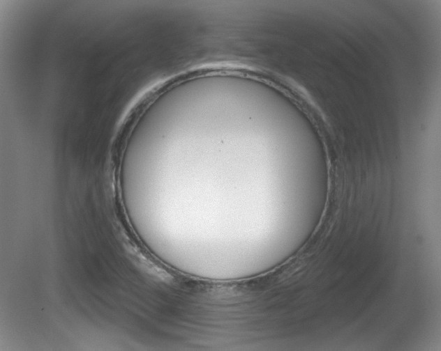 X0000081561408200701150948