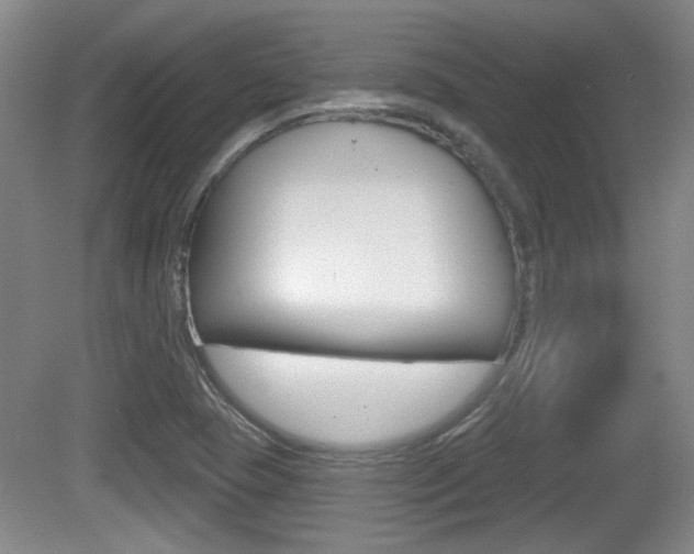 X0000081561409200701150948