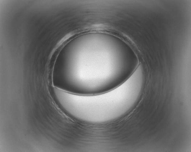X0000081561410200701150948