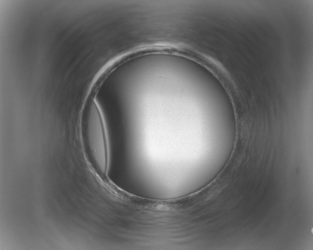 X0000081561412200701150948