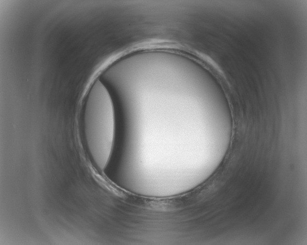 X0000081561413200701150948