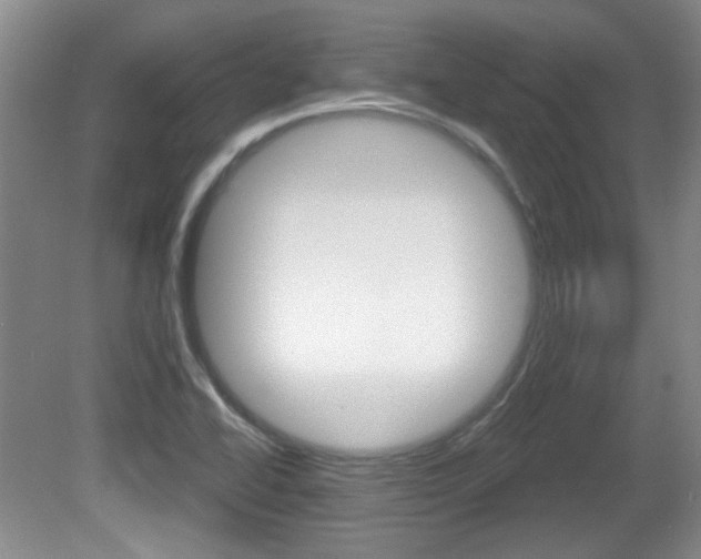 X0000081561414200701150948