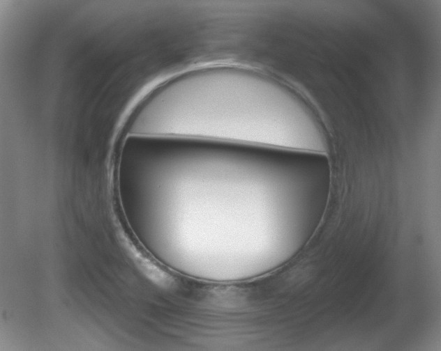 X0000081561416200701150948