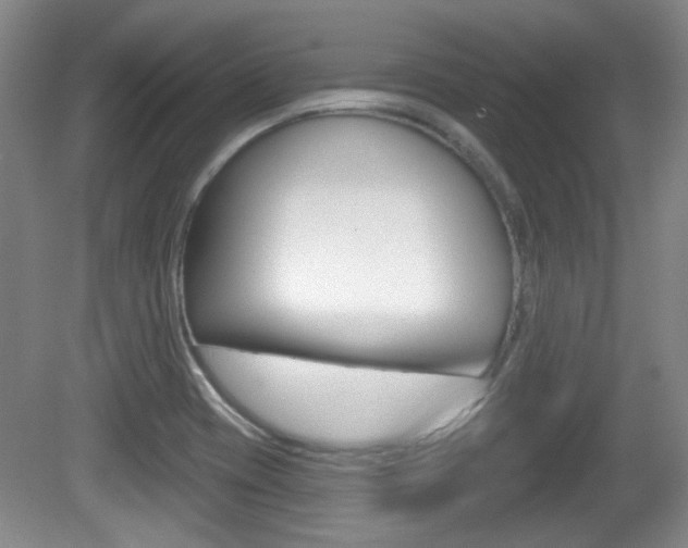 X0000081561417200701150948