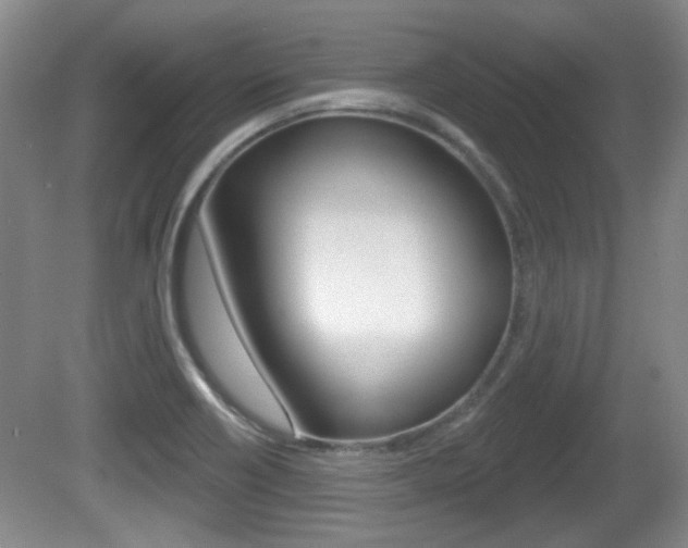 X0000081561418200701150948