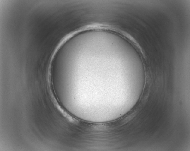 X0000081561421200701150948