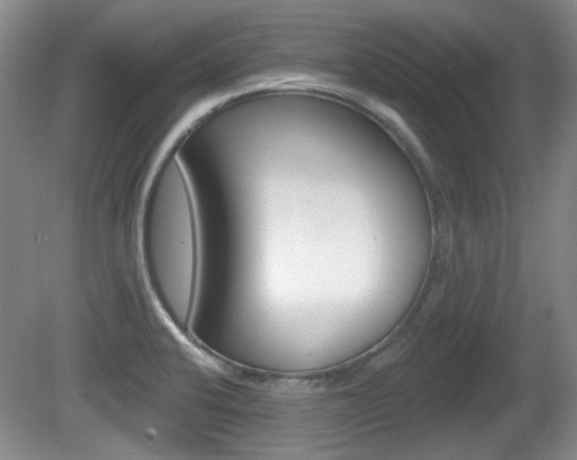 X0000081561424200701150948