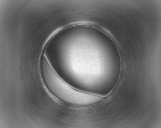 X0000081561426200701150948