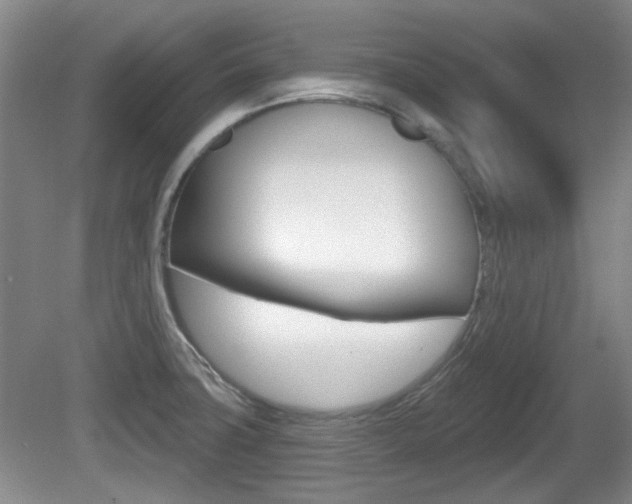 X0000081561427200701150948