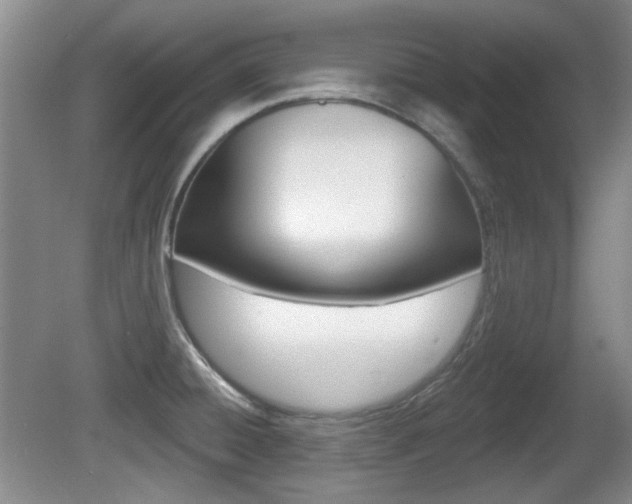 X0000081561428200701150948