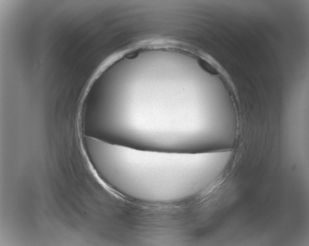 X0000081561429200701150948