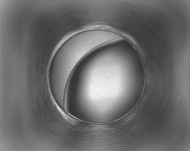 X0000081561430200701150948