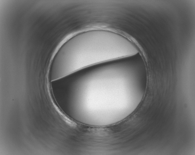 X0000081561432200701150948