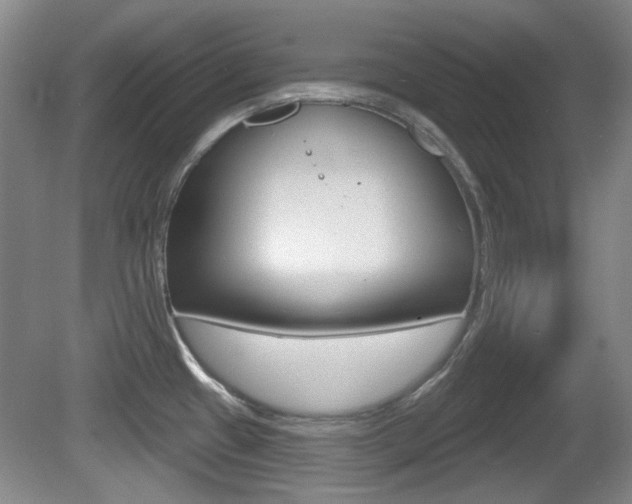 X0000081561433200701150948