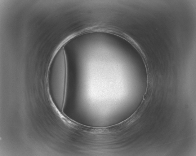 X0000081561434200701150948