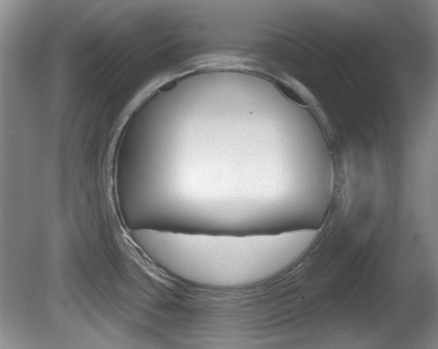 X0000081561435200701150948