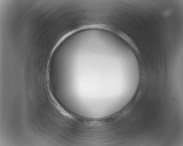 X0000081561436200701150948