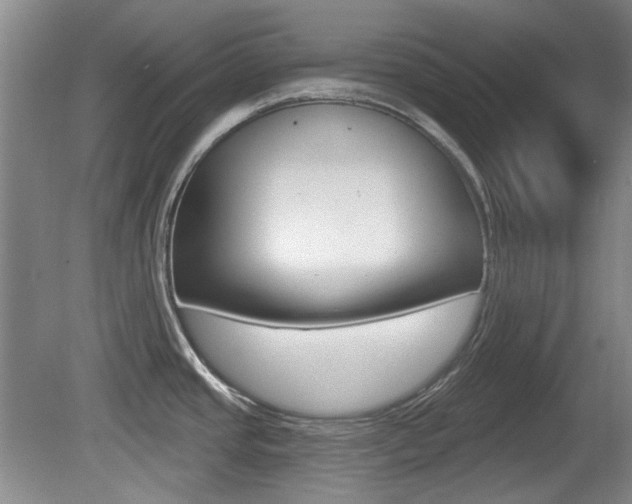 X0000081561437200701150948