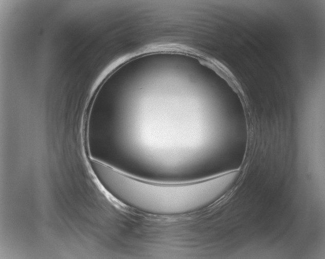 X0000081561438200701150948