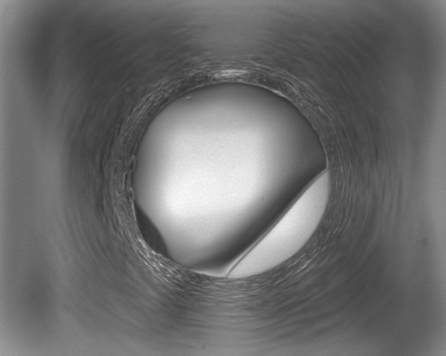 X0000081561441200701150947