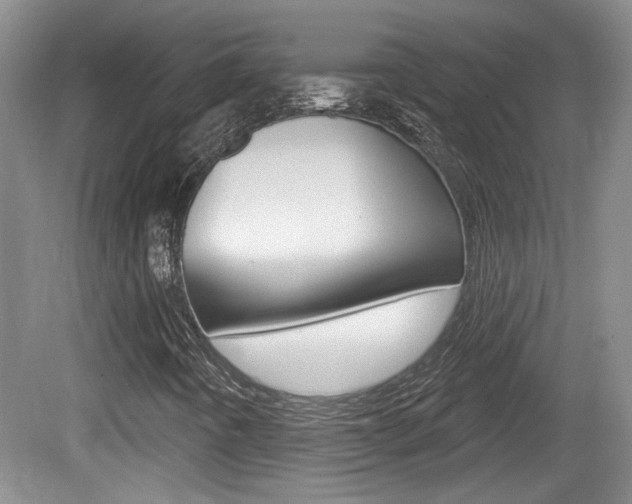 X0000081561442200701150947