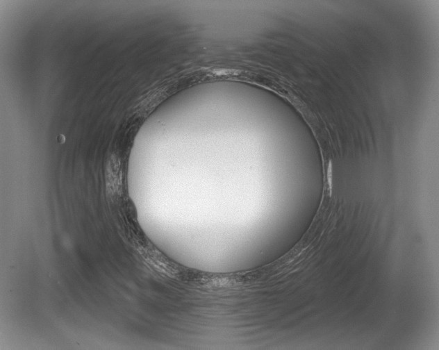 X0000081561443200701150947