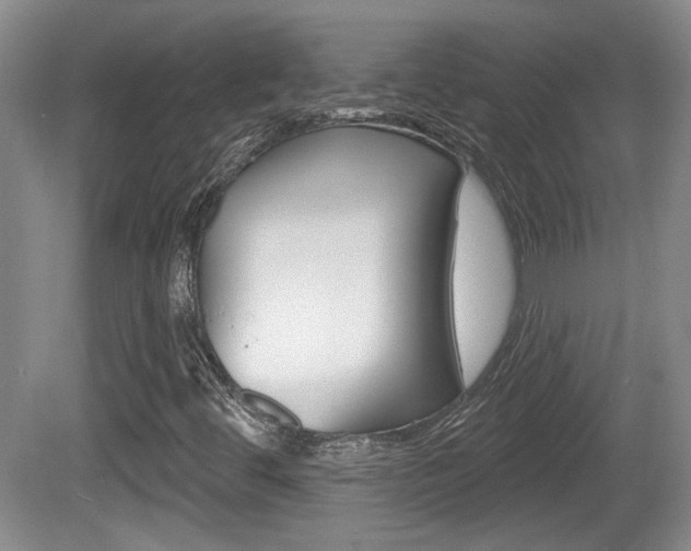 X0000081561444200701150947