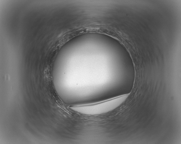 X0000081561445200701150947