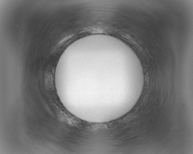 X0000081561446200701150947