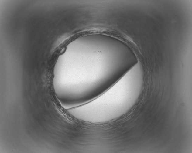 X0000081561448200701150947