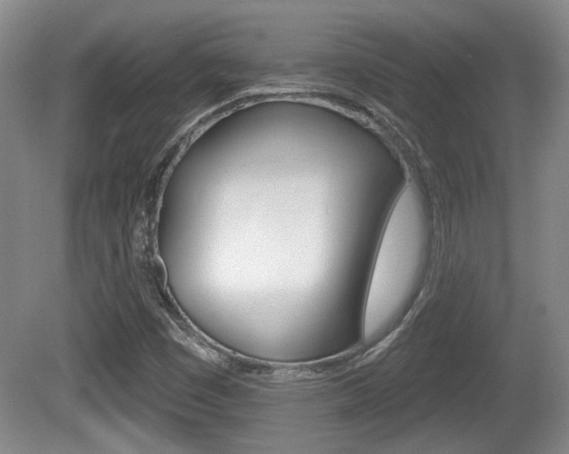 X0000081561449200701150947