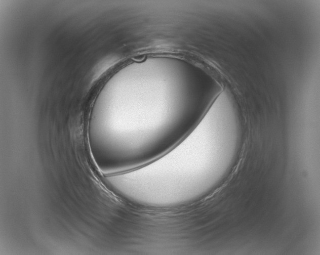 X0000081561450200701150947