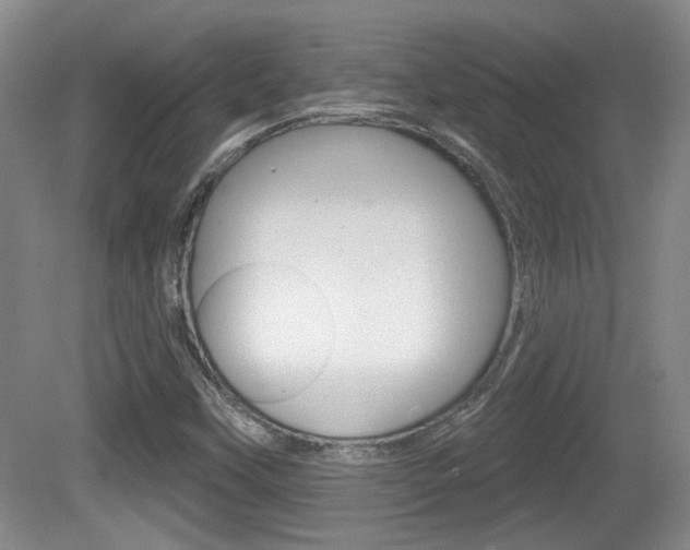 X0000081561451200701150947
