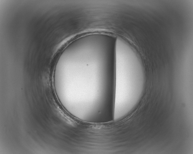 X0000081561452200701150947