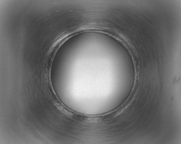 X0000081561453200701150947