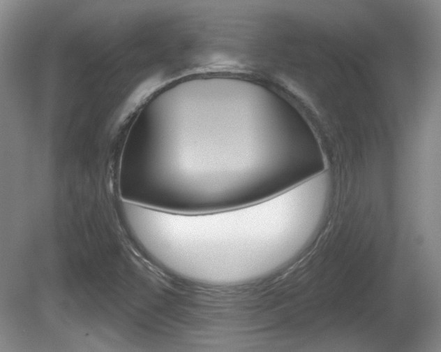 X0000081561455200701150947